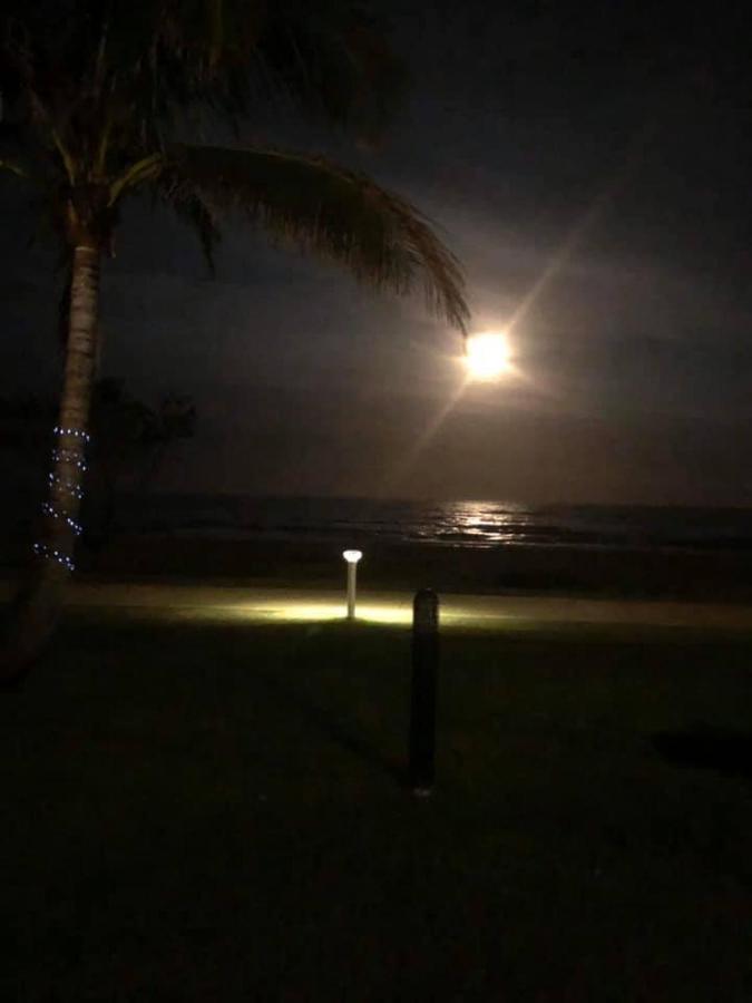 San Simeon Beachfront Apartments Tugun Χρυσή Ακτή Εξωτερικό φωτογραφία